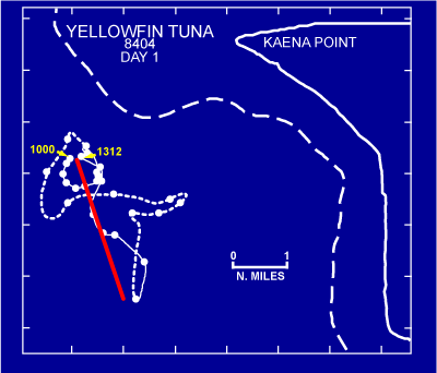 Ulua active tracks