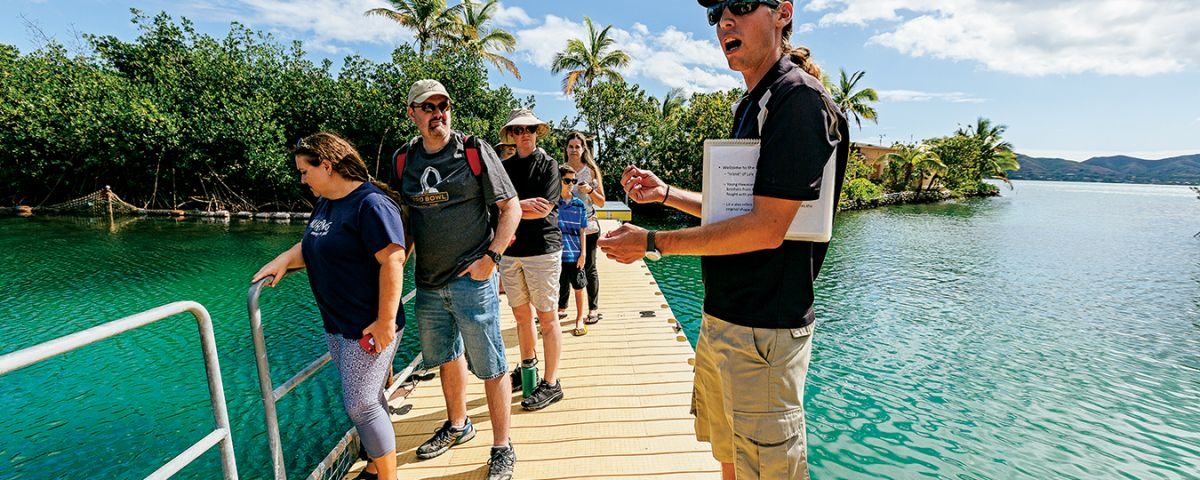 coconut island kaneohe Our guide, Leon, talks about the hammerhead sharks below. Photo: Aaron Yoshino/HAWAIʻI Magazine