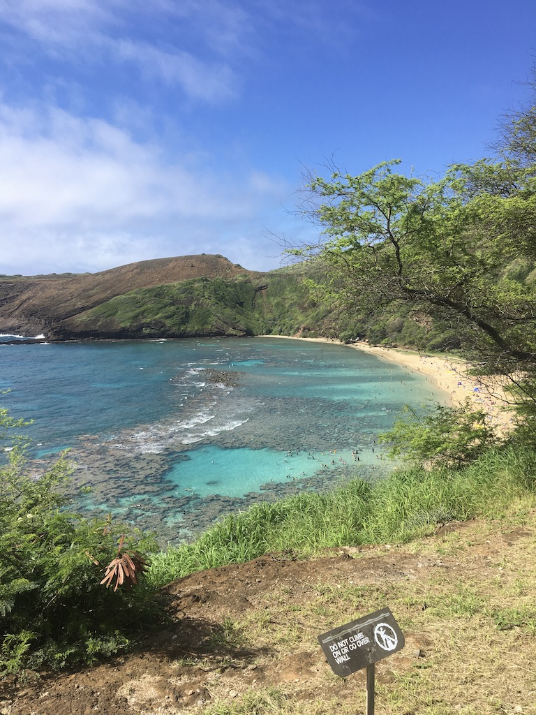 A scenic view of a turquoise bay, sandy beach, and green hills under a bright blue sky.