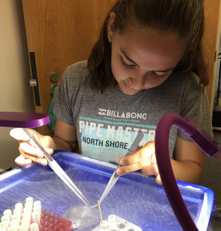 Young woman in a lab uses pipettes over a tray with test tubes, focused on her scientific experiment.