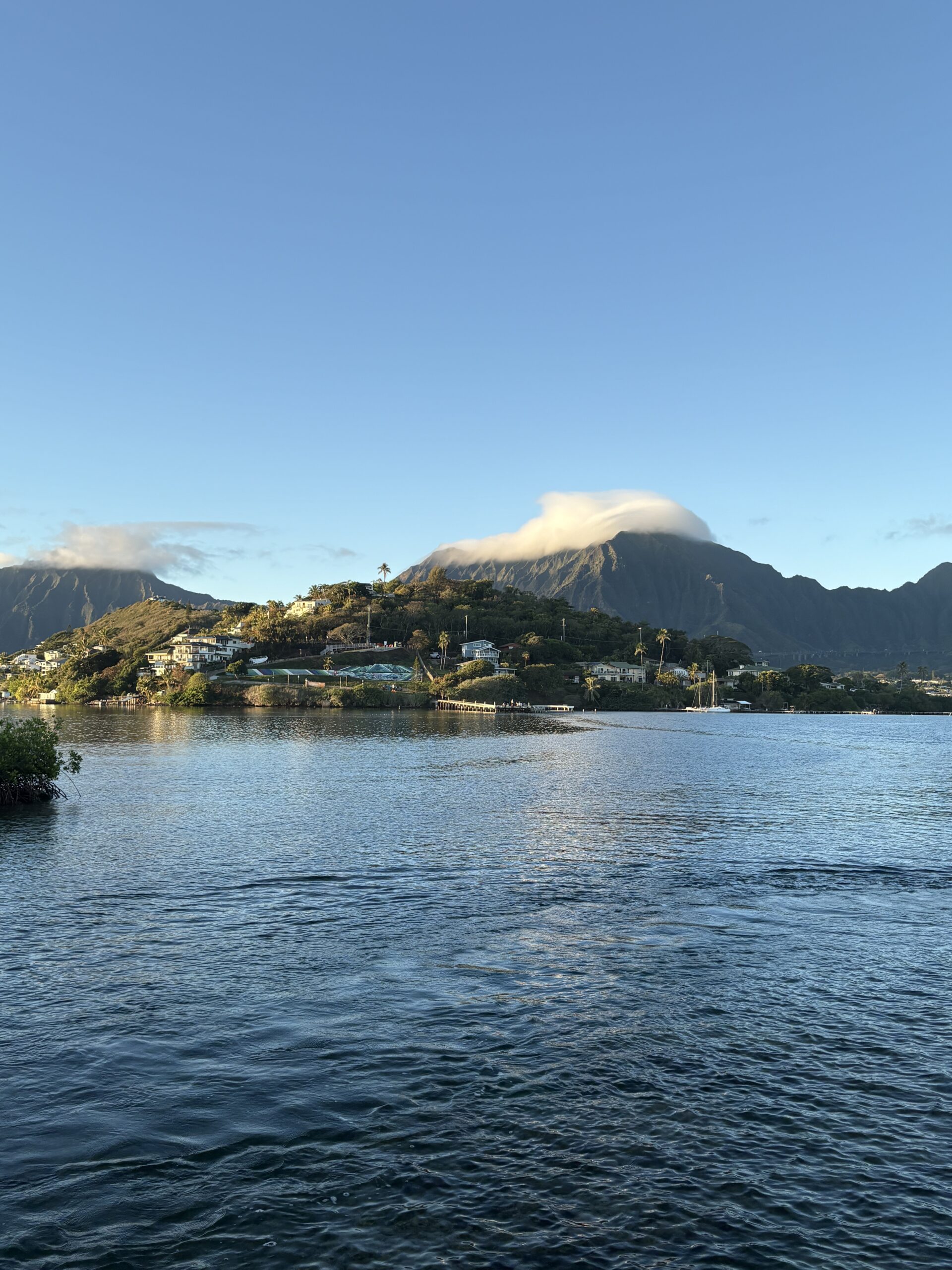 Calm water with houses on a green hillside and a mountain in the background under a blue sky.