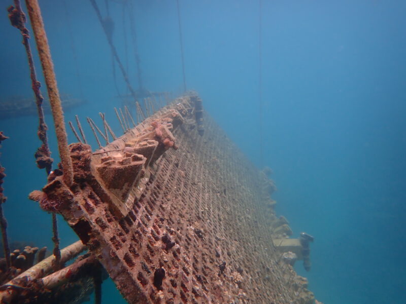 A rusty metal structure underwater, covered in marine growth, possibly part of a submerged framework.