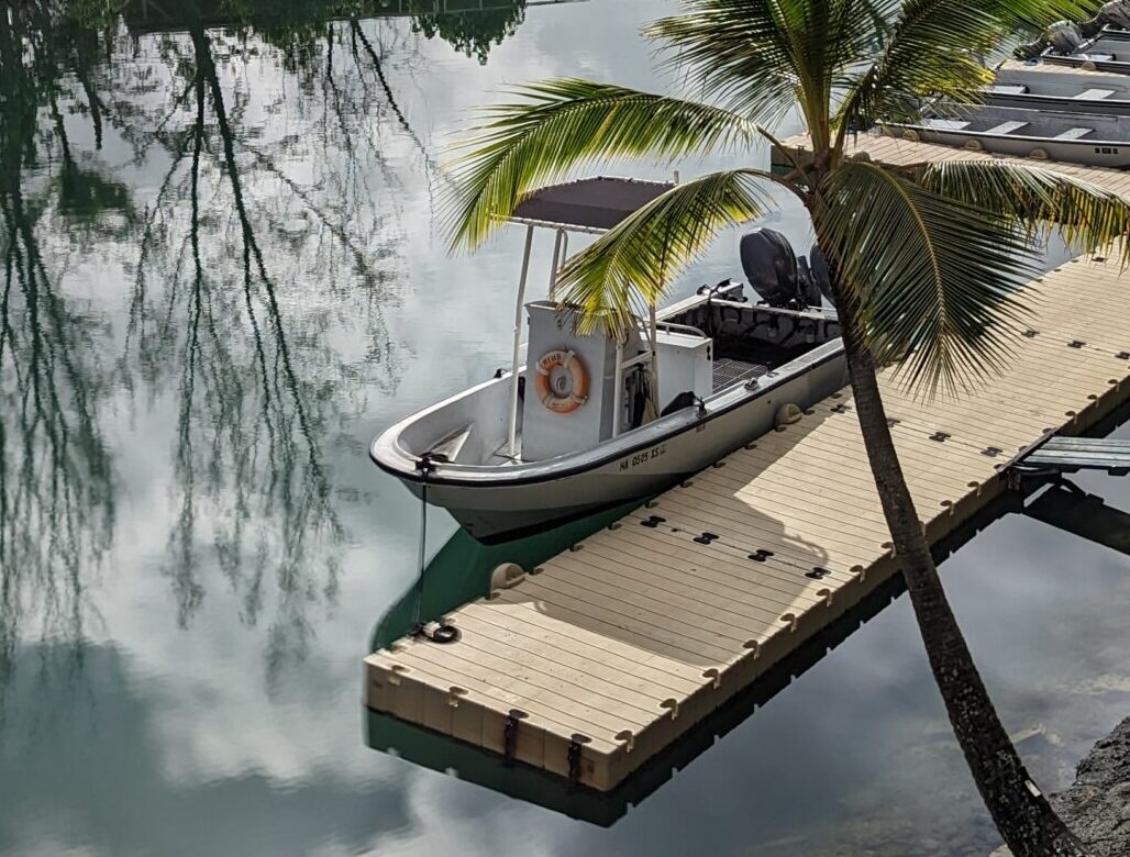 A small white boat docked by a floating pier, with palm trees and reflections on the calm water.