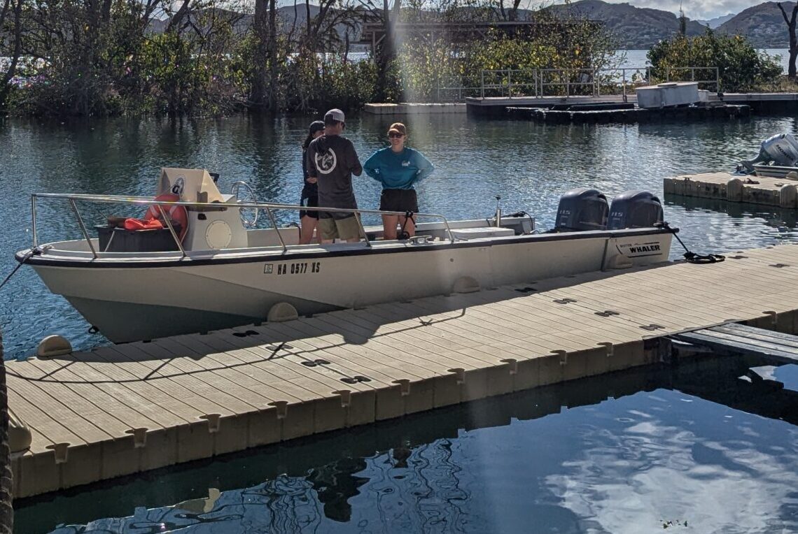 Two people stand on a dock next to a small white motorboat on a sunny day with trees in the background.