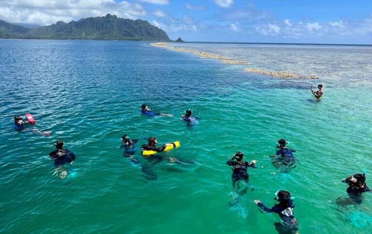 Group of snorkelers in clear blue water near a sandbar, with mountains and cloudy sky in the background.