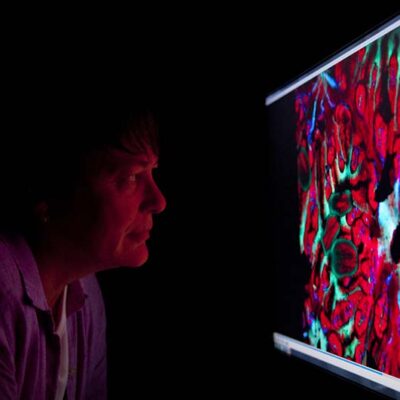 A person studies a computer screen displaying colorful, abstract scientific or microscopic imagery in a dark room.