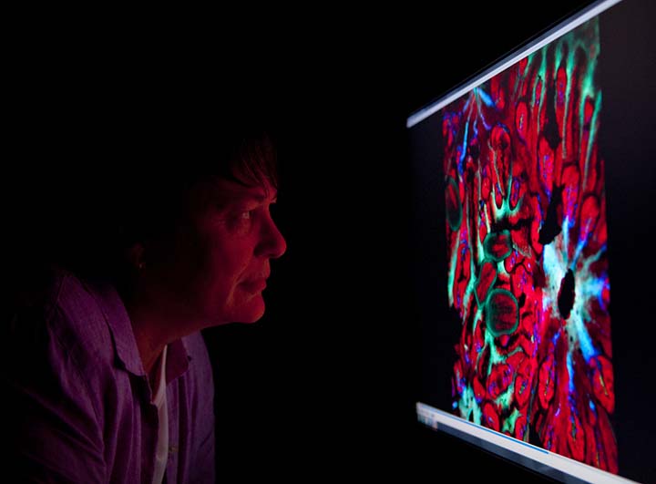 A person studies a computer screen displaying colorful, abstract scientific or microscopic imagery in a dark room.