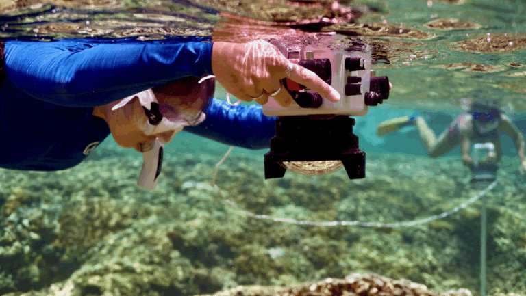 Person in blue swimwear uses an underwater camera to photograph coral in clear, shallow water.