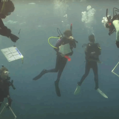 Five scuba divers underwater, two holding PVC frames, one with a clipboard, appearing to conduct research.