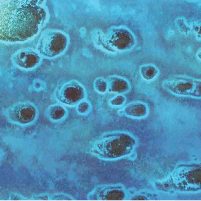 Aerial view of shallow blue water with oval sand formations surrounded by lighter blue rings.