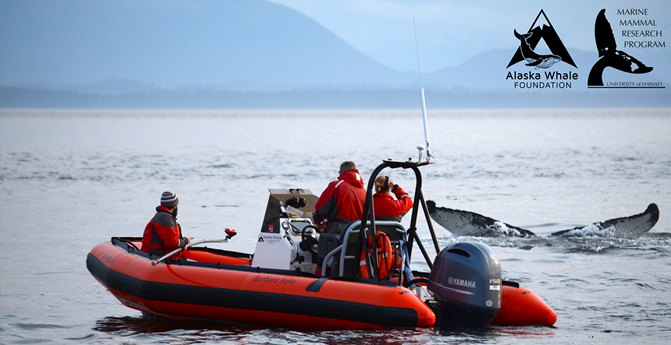Three people in an orange boat observe a whale’s tail in the water; research logos appear in the upper right.