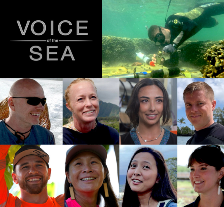 Title of "Voice of the Sea" is pictured with white font on a lack square in the upper left corner, alongside an underwater SCUBA diver with an instrument with reef surrounding him. 8 researchers are photographed in a grid below.