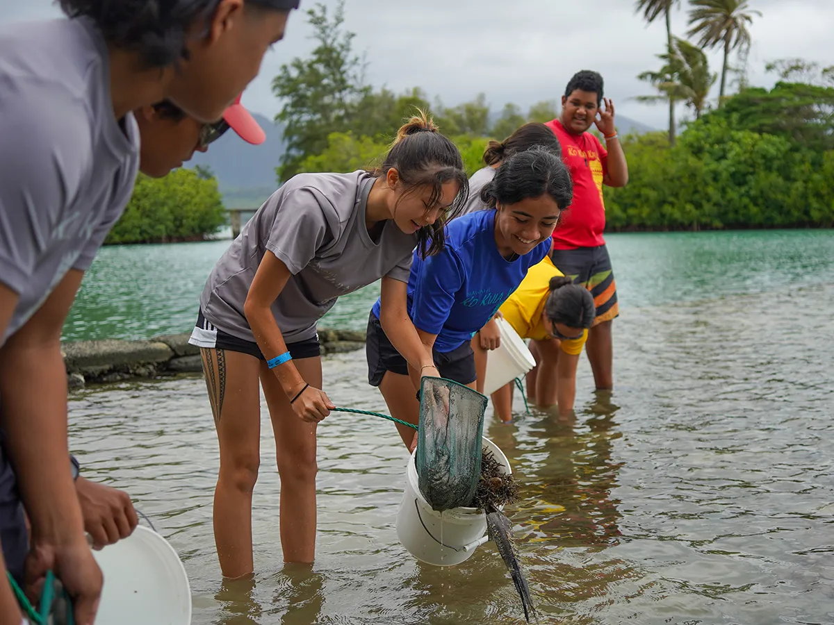 A group of people stand in shallow water, releasing marine animals from buckets into the water.
