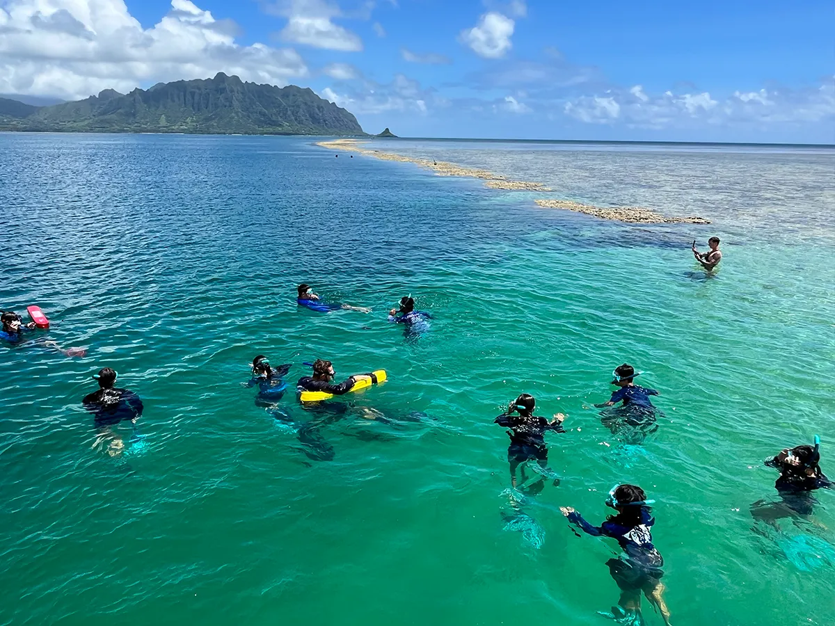 People snorkeling in clear turquoise water near a sandbar with mountains and blue sky in the background.
