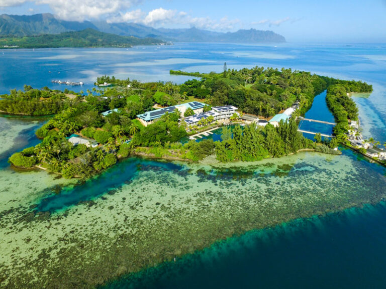 Aerial view of a lush, green island with buildings, surrounded by clear blue ocean and coral reefs.