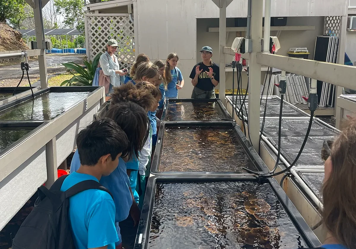 Children gather around tanks of water while a person gives a tour at an outdoor aquatic research facility.