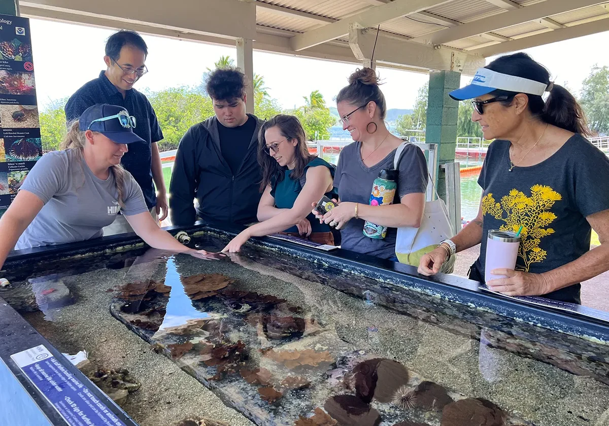 A group of people gather around a touch tank, interacting with sea creatures at an aquarium exhibit.
