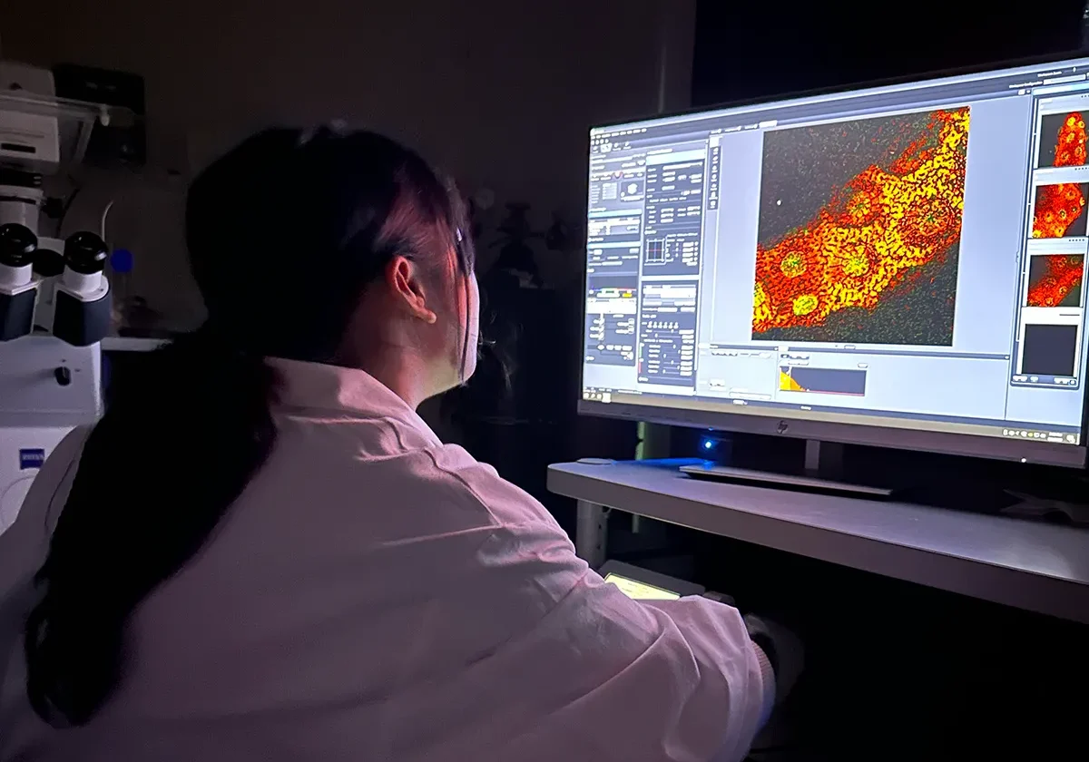 A scientist analyzes a colorful microscopic image on a computer in a dimly lit lab.
