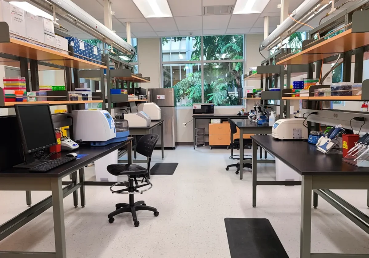 Modern laboratory with computers, lab equipment, and supplies on shelves, with large windows and bright lighting.