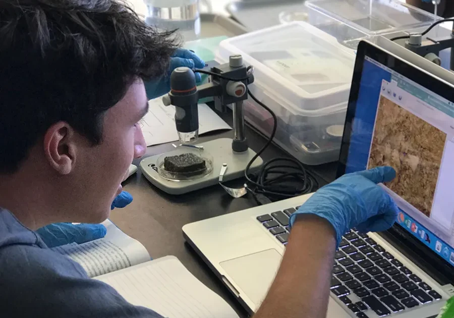 Student wearing blue gloves examines a sample image on a laptop next to a microscope in a lab.