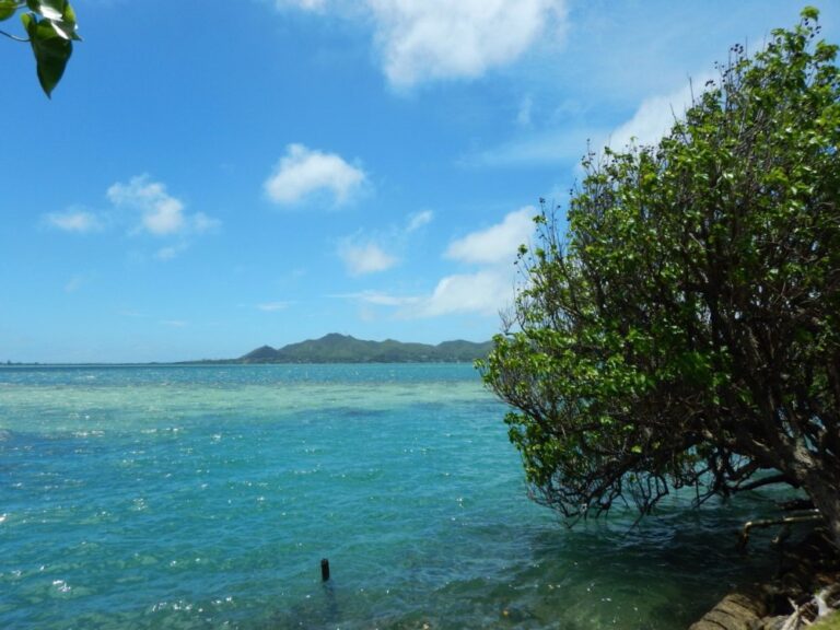 Clear blue ocean water with a tree on the right, distant mountains, and a partly cloudy sky.