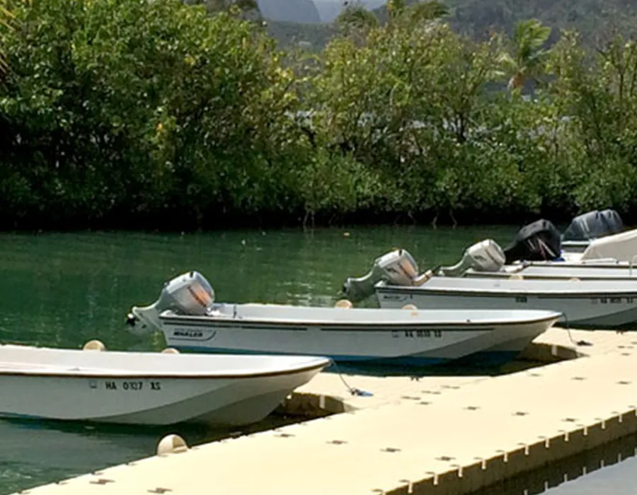 Several small motorboats are docked side by side along a floating pier by green water and trees.