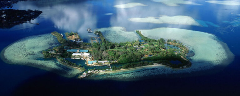 Aerial view of a lush, green island surrounded by clear blue water and coral reefs.