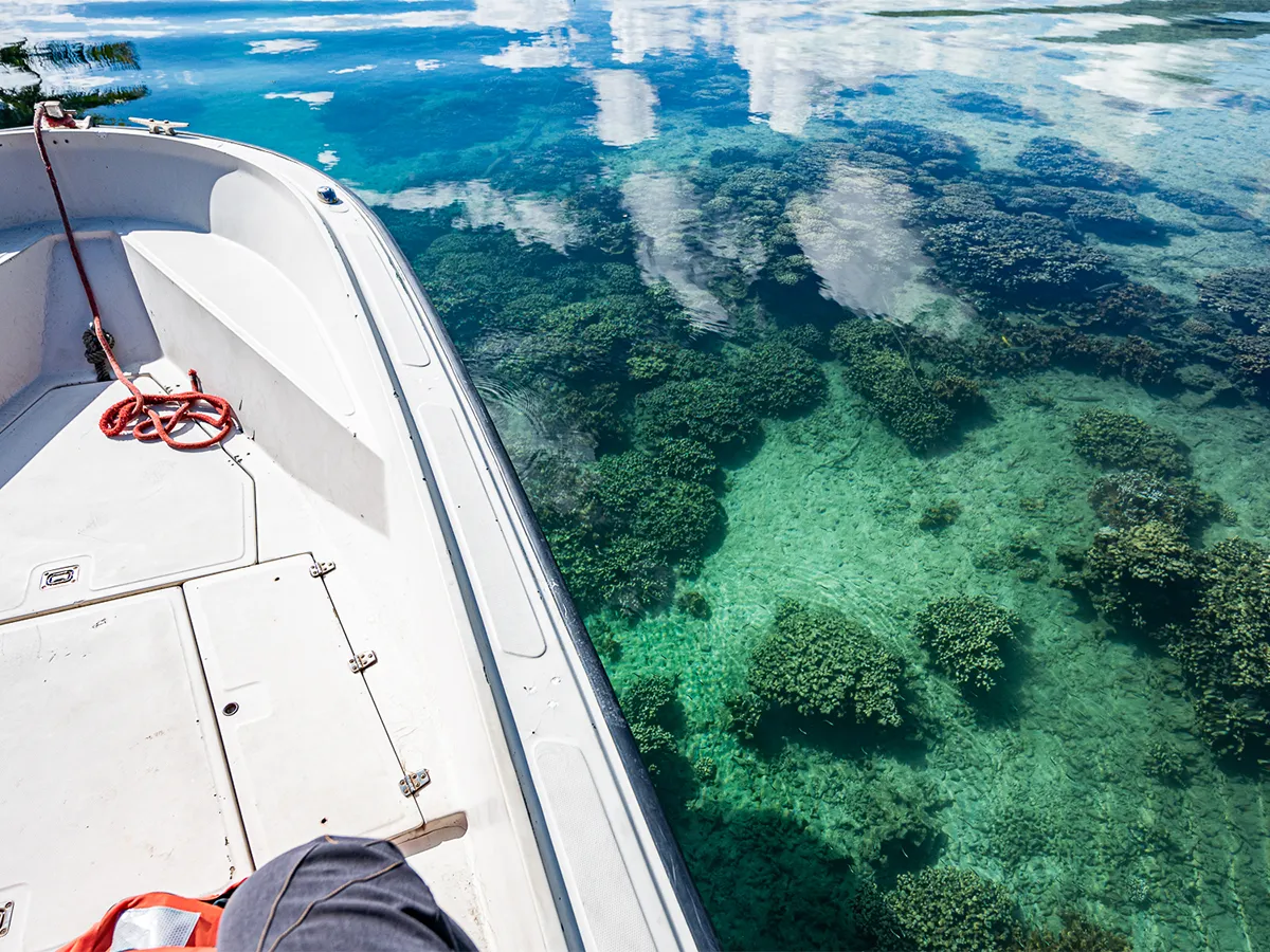 A boat floats above clear turquoise water, revealing coral reefs below the surface.