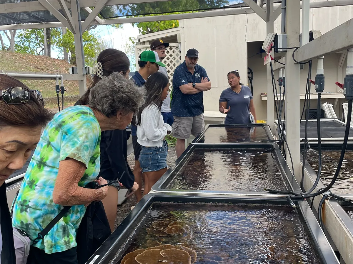 A group of people observe tanks with marine life as a guide explains at an outdoor aquarium facility.