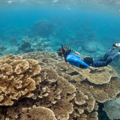 A snorkeler in blue gear swims above colorful coral reefs in clear, shallow ocean water.