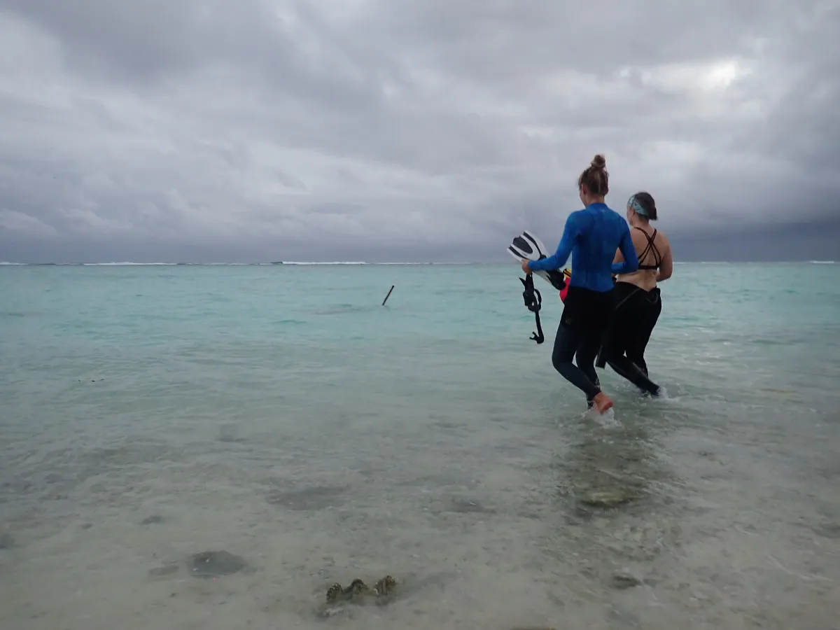 Two people in swimwear walk into a cloudy, shallow ocean holding snorkel gear and fins.