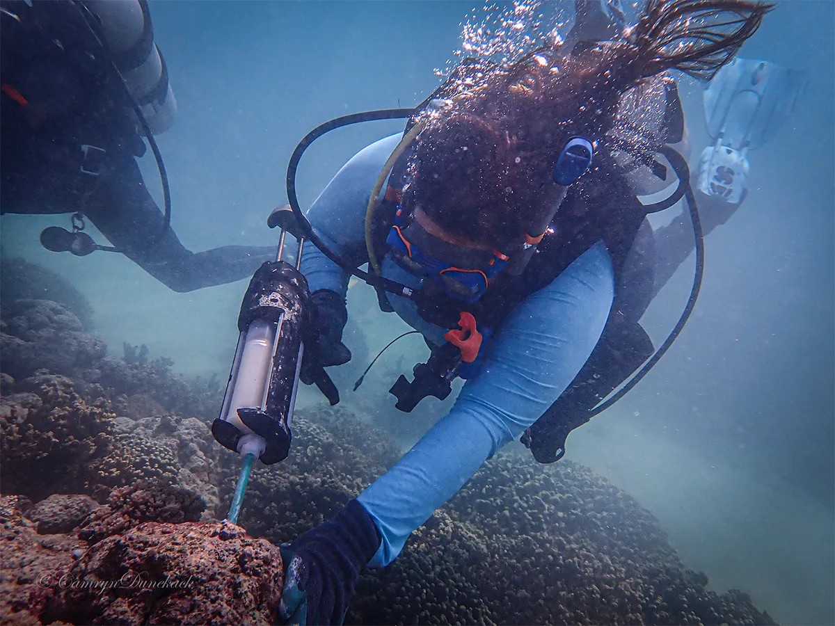Scuba diver in blue gear injects substance into coral reef underwater, another diver nearby.