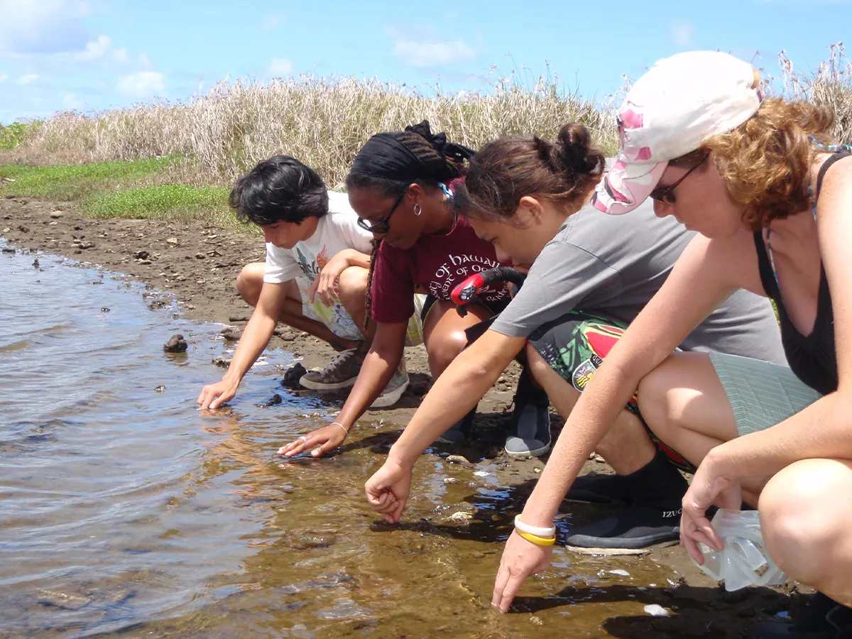 Four people crouch by a lakeshore, reaching into the water on a sunny day with grass in the background.
