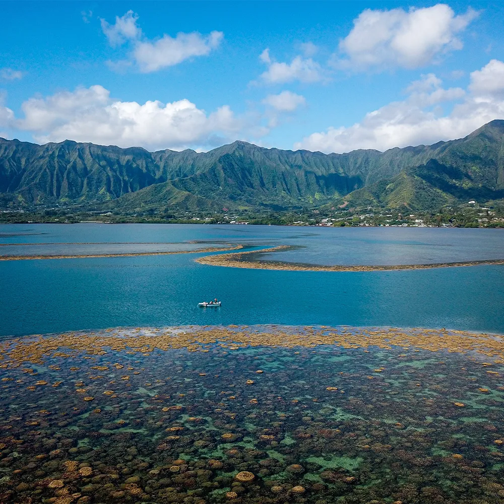 A small boat floats on blue water with coral reefs, mountains, and clouds in the background.