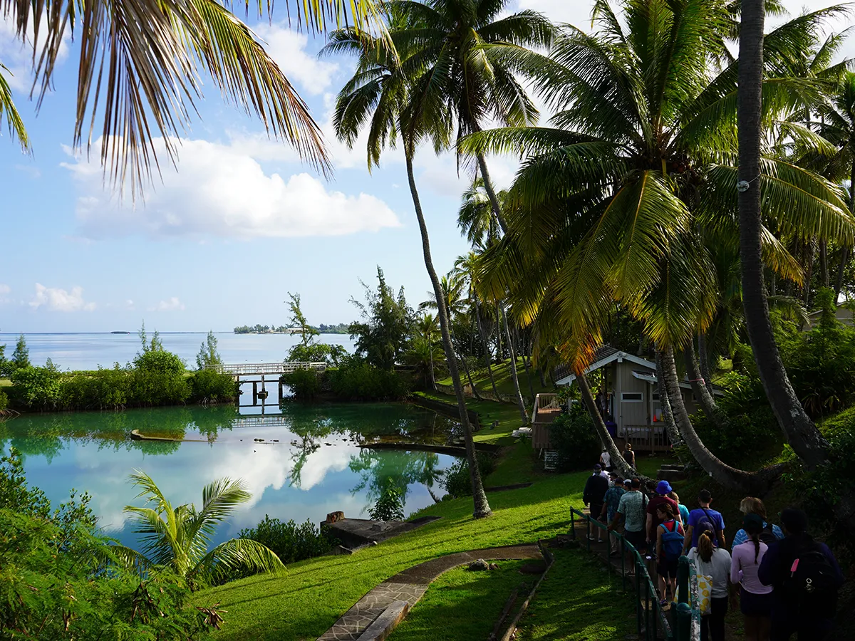 A group of people walks by a tropical lagoon surrounded by palm trees and lush greenery near the ocean.