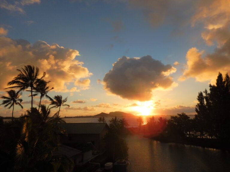 Sunset over water with palm trees, clouds, and a silhouetted island in the distance.
