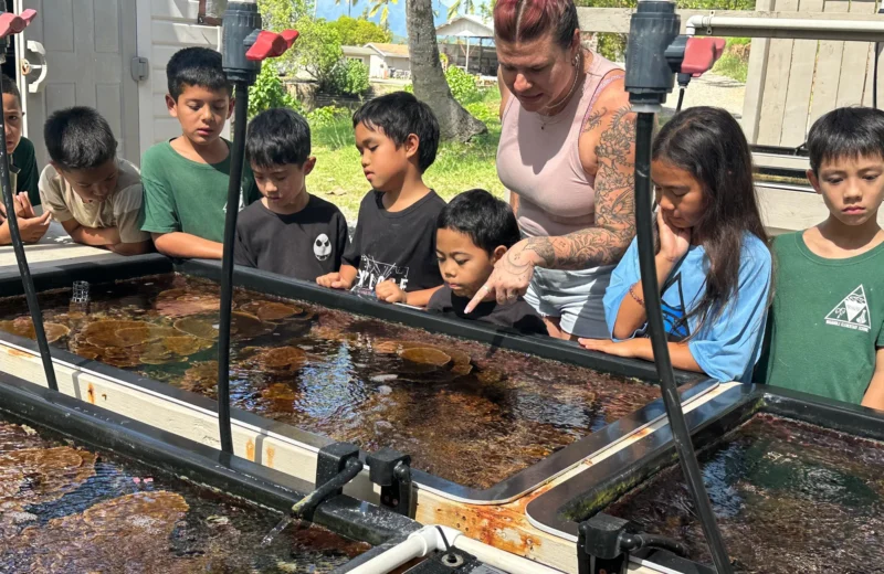 A group of children and a woman observe and discuss marine life in aquarium tanks outdoors.