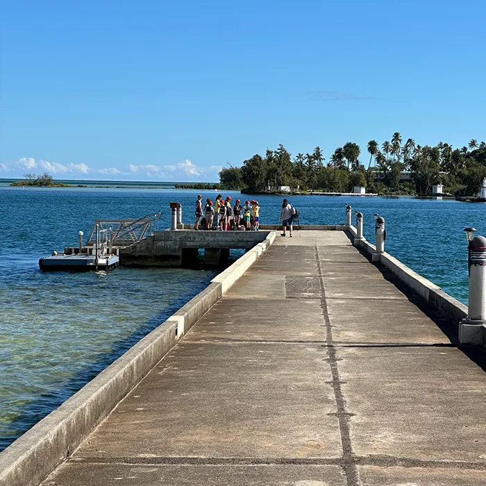 People gathered at the end of a pier over clear blue water, with palm trees and islands in the background.