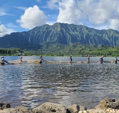 People stand in a line holding nets in a lake with green mountains and blue sky in the background.
