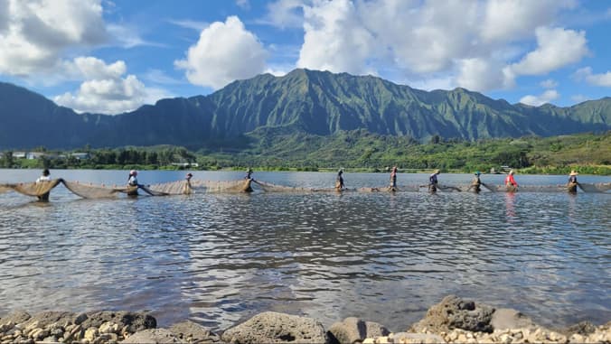 People stand in a line holding nets in a lake with green mountains and blue sky in the background.