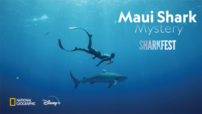 A diver swims near a shark underwater with text: "Maui Shark Mystery SHARKFEST" and National Geographic, Disney+ logos.
