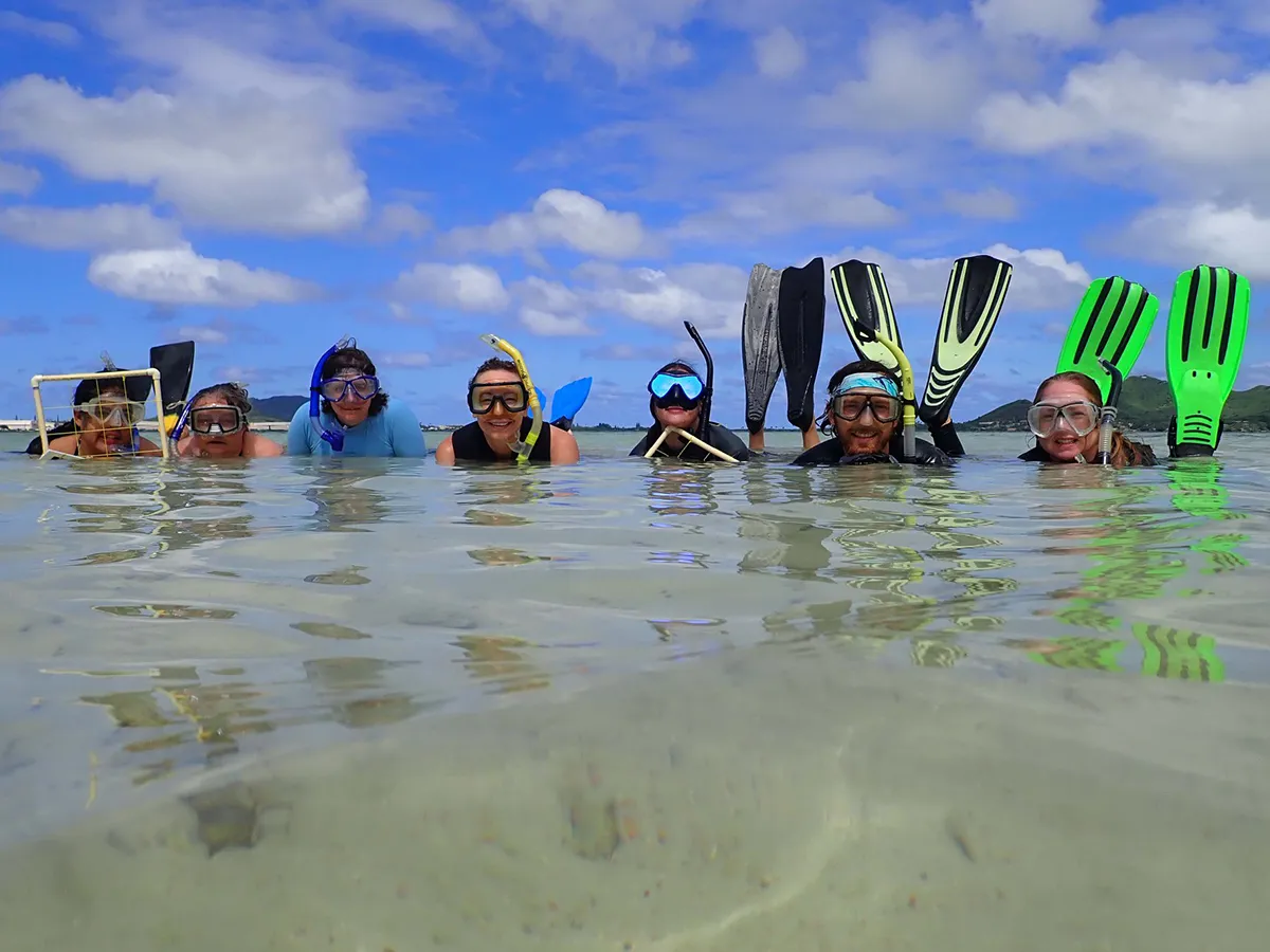 Six people wearing snorkels and flippers smile in shallow, clear water under a blue sky with clouds.