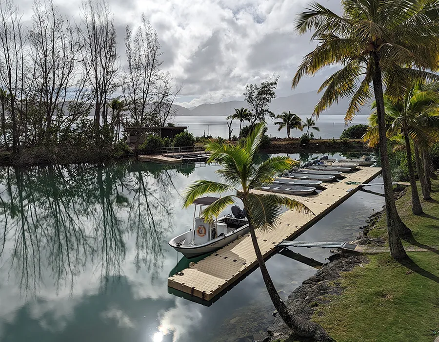 Palm trees and boats docked on a calm, reflective lagoon with cloudy skies and distant mountains.