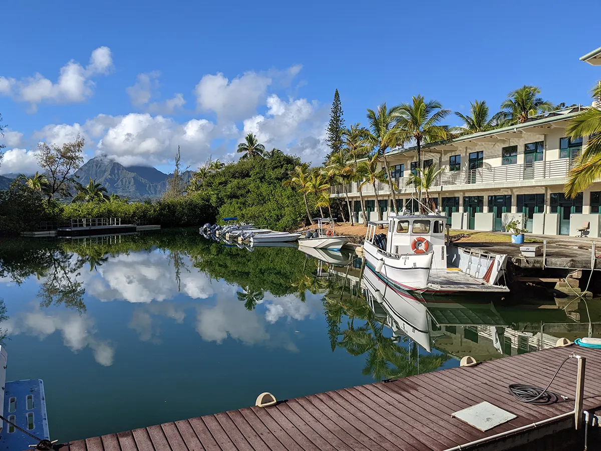Boats docked by a calm canal, with palm trees, a building, and mountains reflected in the water.