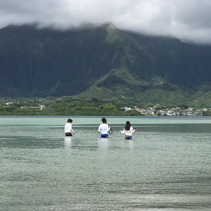Three people wade in shallow water with green mountains and cloudy skies in the background.
