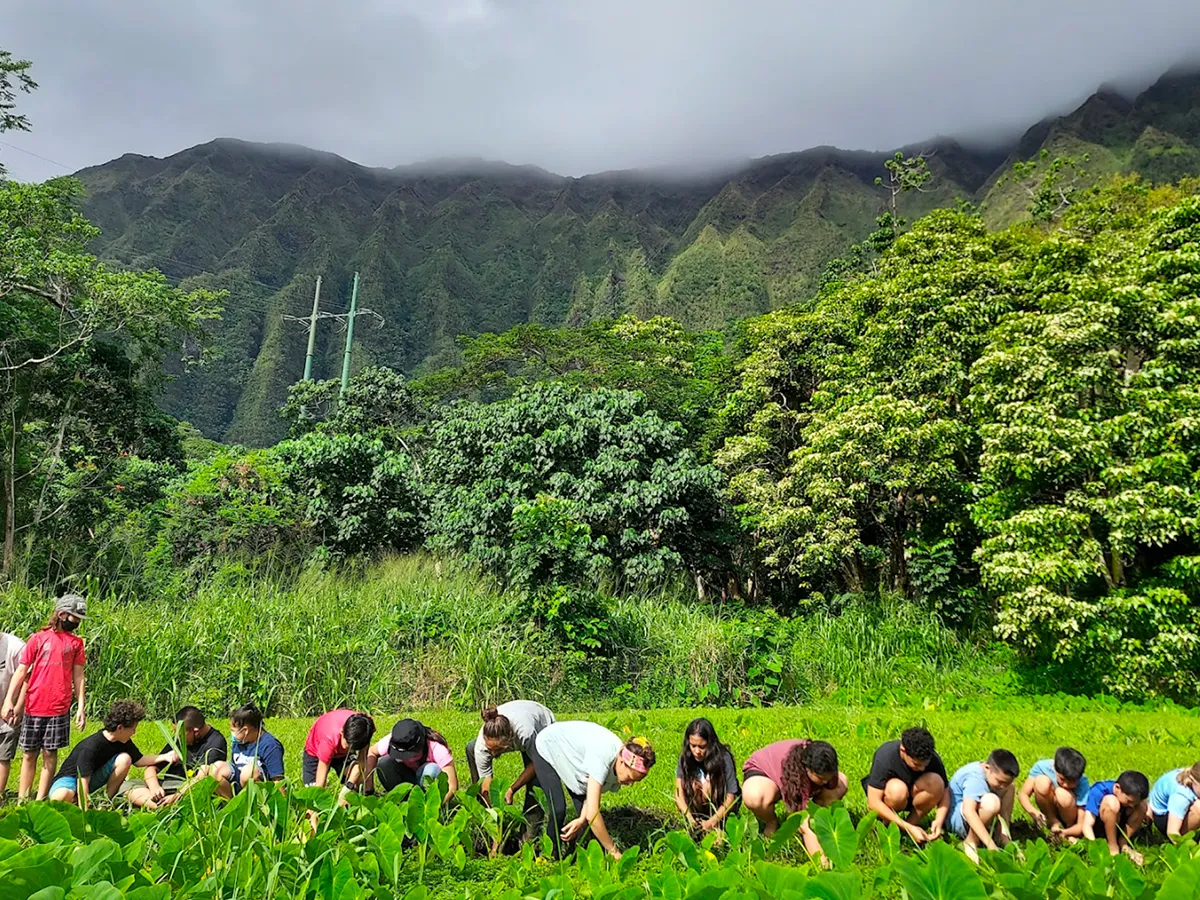 A group of people work in a green field with lush mountains and clouds in the background.