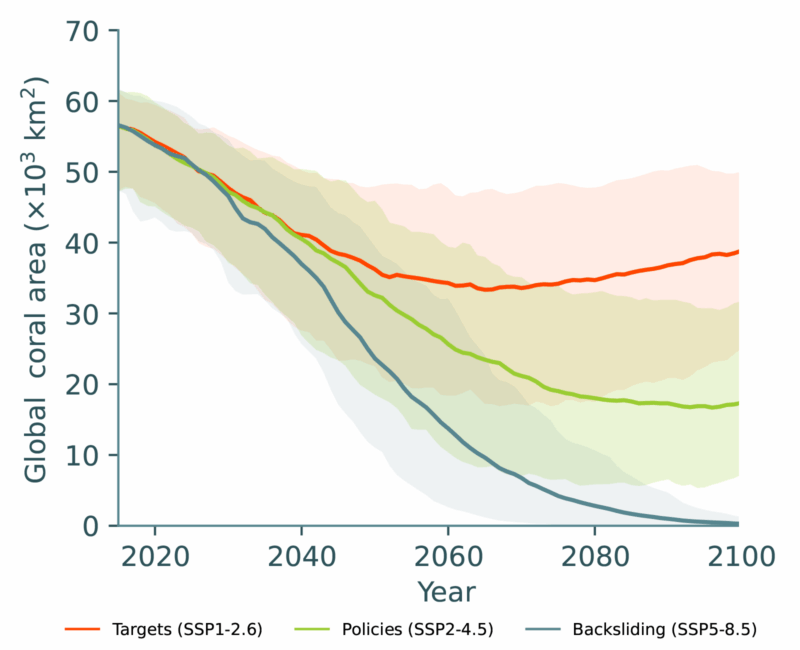 Line graph showing projected global coral area decline under three climate scenarios from 2020 to 2100.