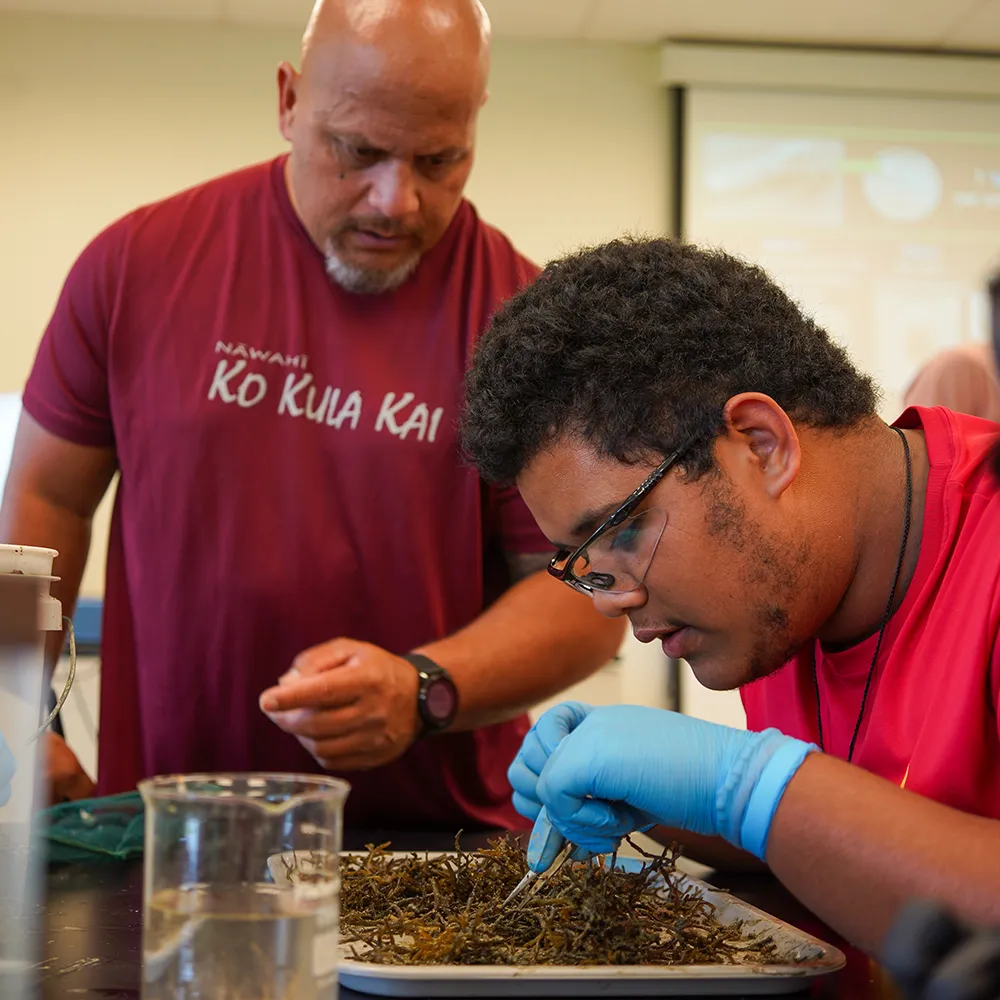 A student examines seaweed with tweezers while a teacher observes in a science classroom.