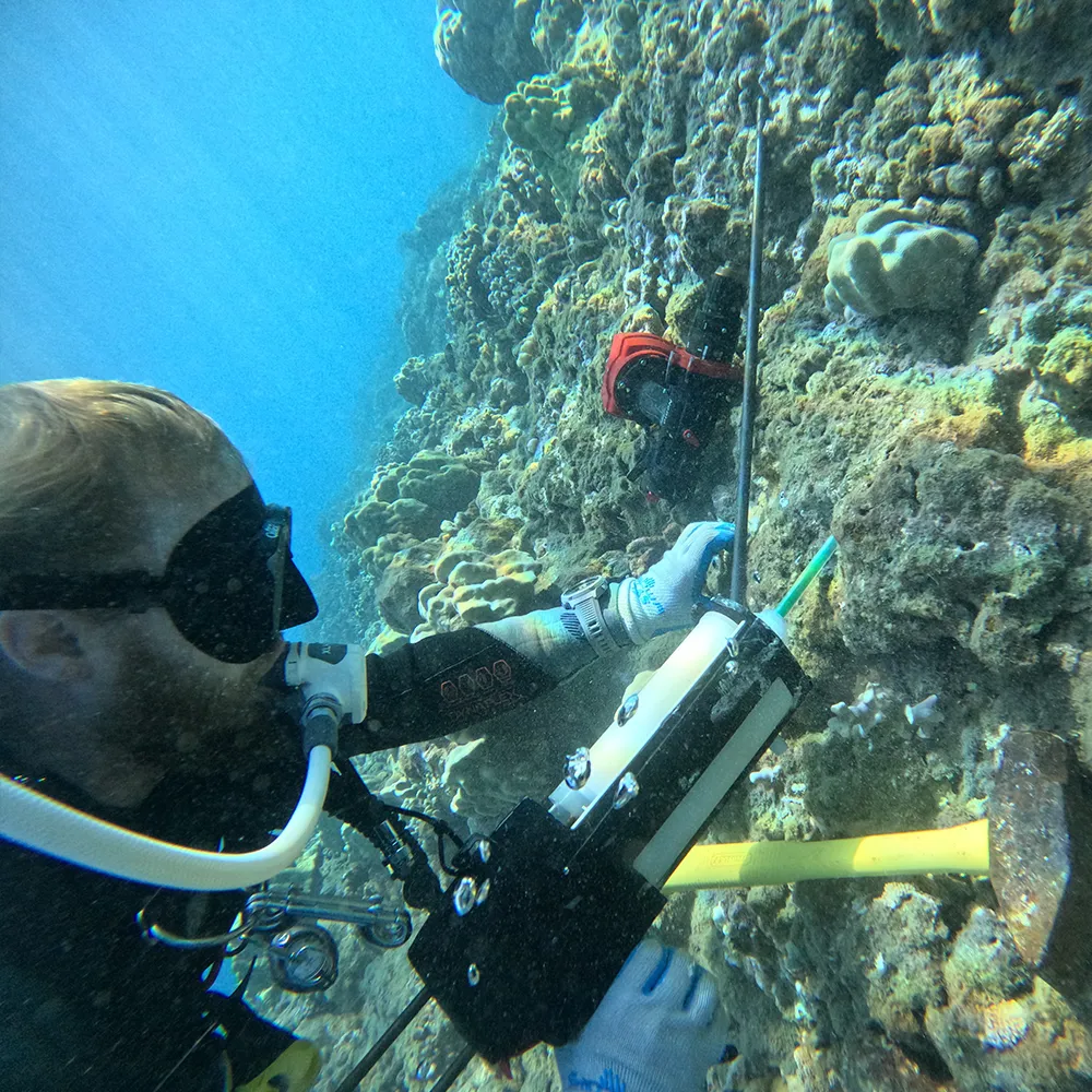 Scuba diver using scientific equipment to study coral reef underwater.